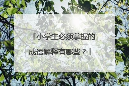 小学生必须掌握的成语解释有哪些？