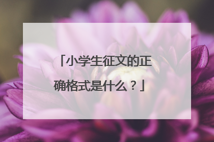小学生征文的正确格式是什么?