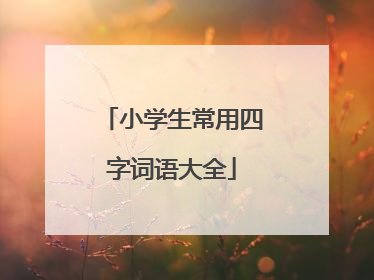 小学生常用四字词语大全