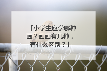 小学生应学哪种画？画画有几种，有什么区别？