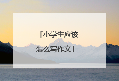 小学生应该怎么写作文