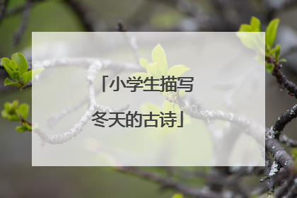 小学生描写冬天的古诗