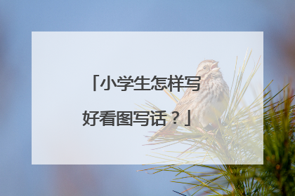 小学生怎样写好看图写话？