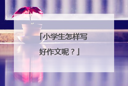 小学生怎样写好作文呢？