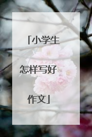 小学生怎样写好作文