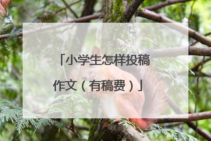 小学生怎样投稿作文(有稿费)