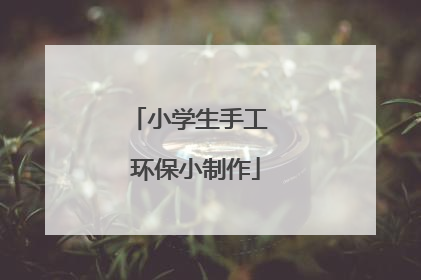 小学生手工 环保小制作