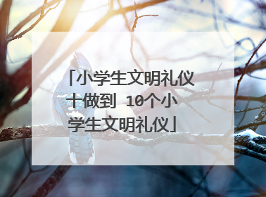 小学生文明礼仪十做到 10个小学生文明礼仪