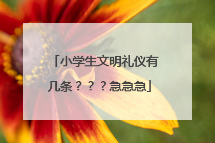 小学生文明礼仪有几条？？？急急急