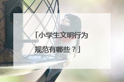 小学生文明行为规范有哪些？