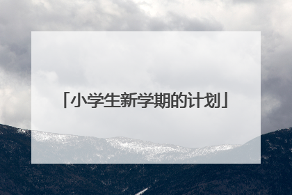 小学生新学期的计划