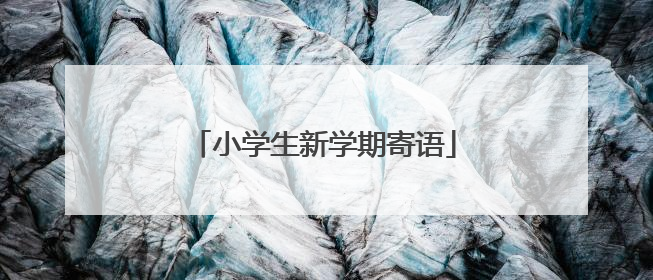 小学生新学期寄语