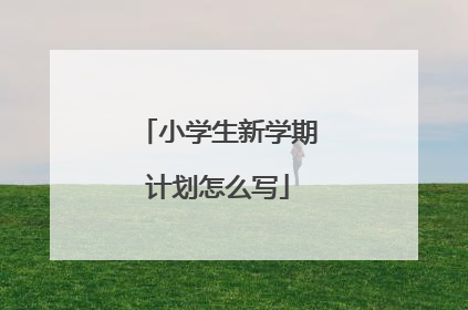 小学生新学期计划怎么写