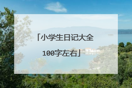 小学生日记大全100字左右