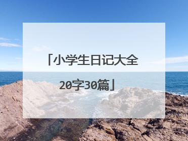 小学生日记大全20字30篇