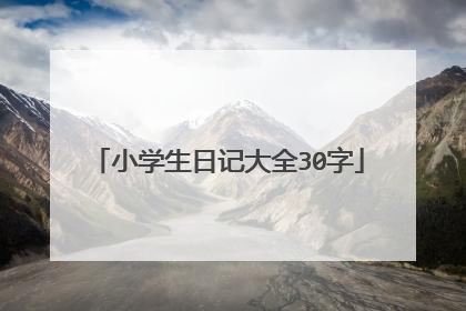 小学生日记大全30字