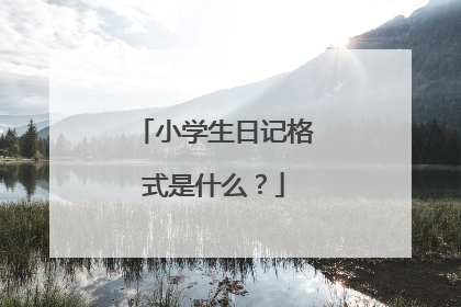 小学生日记格式是什么?