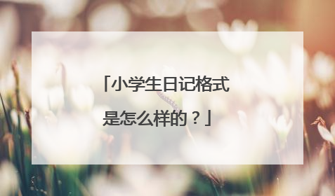 小学生日记格式是怎么样的?