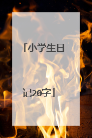 小学生日记20字