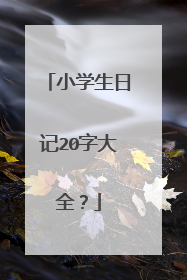 小学生日记20字大全？
