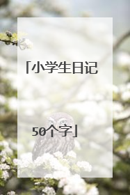 小学生日记50个字