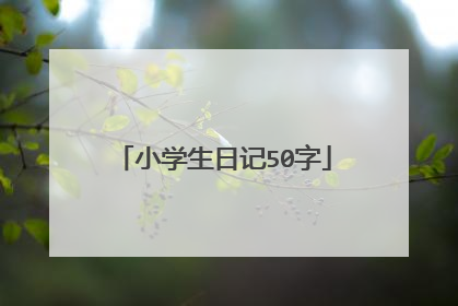 小学生日记50字