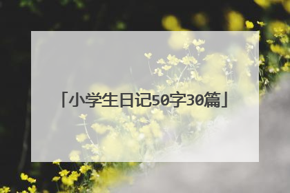 小学生日记50字30篇