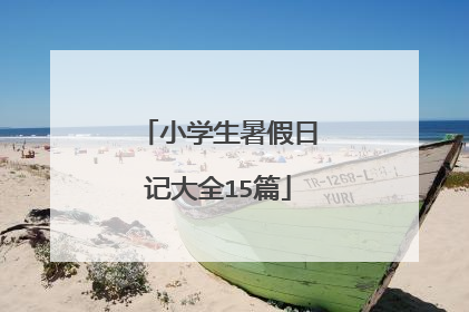 小学生暑假日记大全15篇