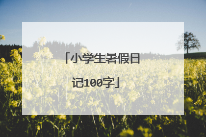 小学生暑假日记100字