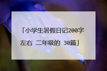 小学生暑假日记200字左右 二年级的 30篇