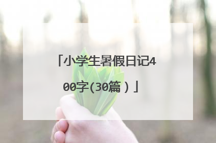 小学生暑假日记400字(30篇)