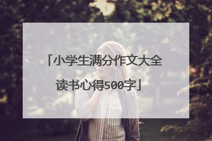 小学生满分作文大全读书心得500字