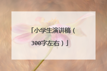 小学生演讲稿（300字左右）