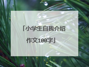 小学生自我介绍作文100字