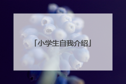 小学生自我介绍