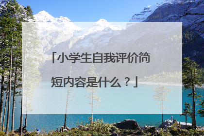 小学生自我评价简短内容是什么?