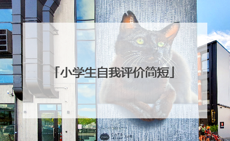 小学生自我评价简短