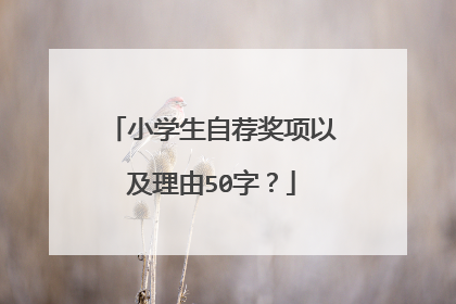小学生自荐奖项以及理由50字?