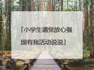 小学生请党放心强国有我活动说说