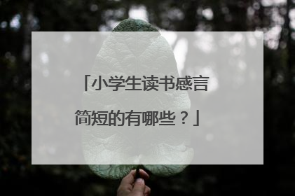 小学生读书感言简短的有哪些?