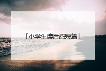 小学生读后感短篇