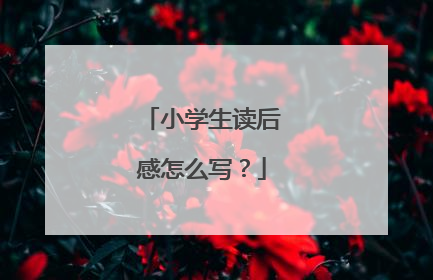 小学生读后感怎么写？