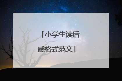 小学生读后感格式范文