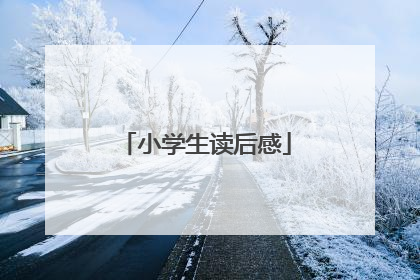 小学生读后感