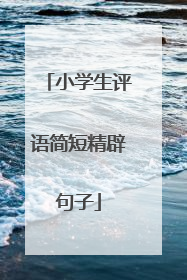 小学生评语简短精辟句子