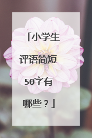 小学生评语简短50字有哪些?