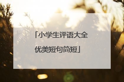 小学生评语大全优美短句简短