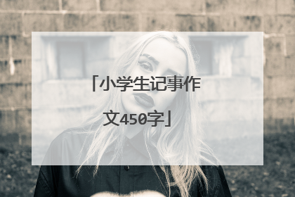 小学生记事作文450字