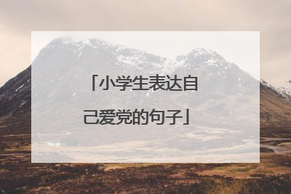 小学生表达自己爱党的句子
