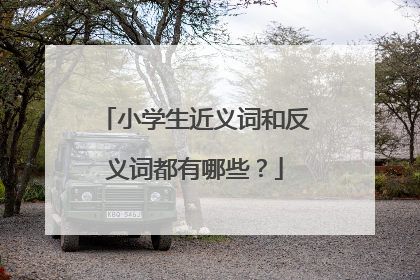 小学生近义词和反义词都有哪些？